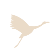 Storch-beige